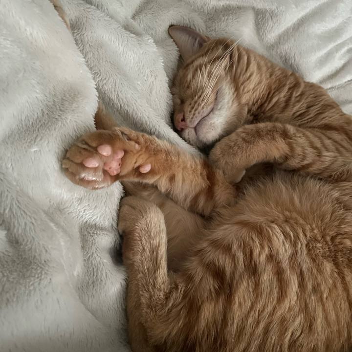 9d3b9532 6eea 4bd5 b341 6e7203d86935 1761459675470