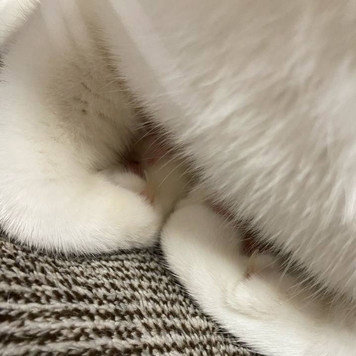 9d3b9bcb 121c 44f9 a227 cafff6f4b21d 1578187255267