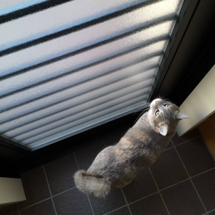 9d3bc295 5ade 4057 a550 faf363ea1e71 1567652790855