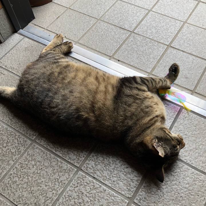 9d3c2d6b 8004 4c40 a9f7 98a81677fc6f 1530675858668