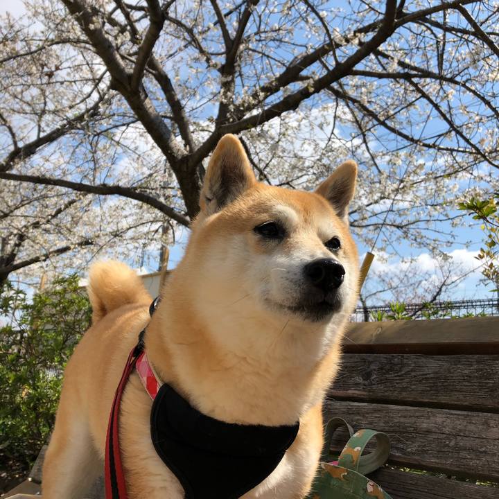 9d3c3b33 20ec 4316 a666 2a37faf66d92 1554179694042