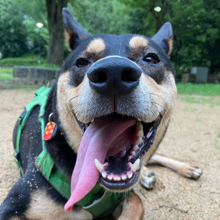 9d3c5754 6b87 40f3 a2e1 35dfd994afdd 1593911269481