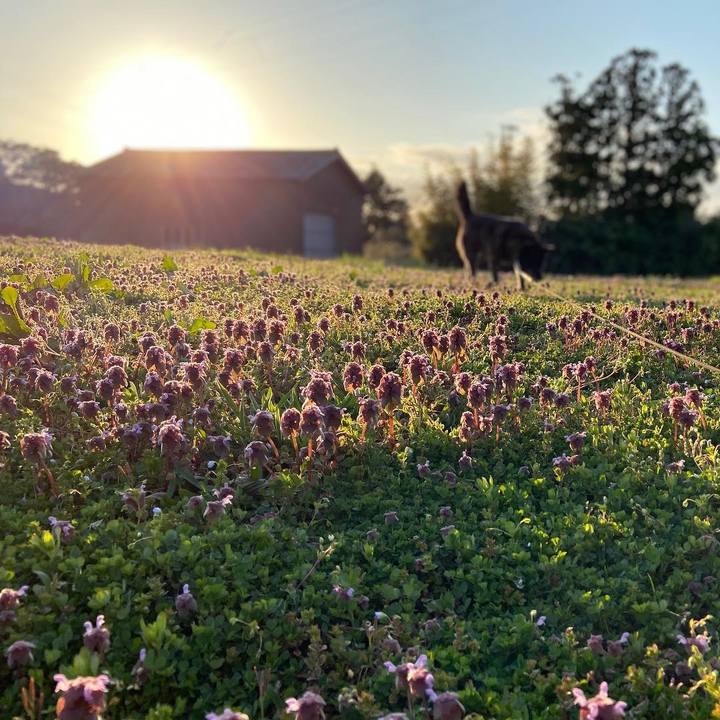 9d3c72c8 9291 42c9 af23 a559ec4e37e0 1585471715660