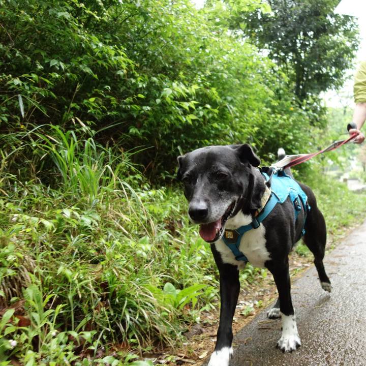 9d3c7db4 5bb9 4d66 aa11 3e9582a1d86c 1713744664825