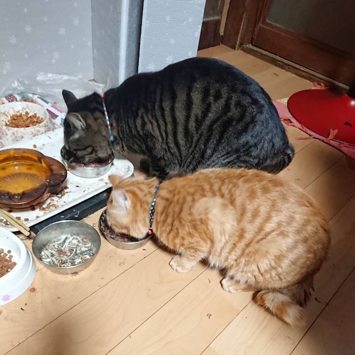 9d3c95b4 98b1 4e5c b947 705d4e74c555 1641502783544