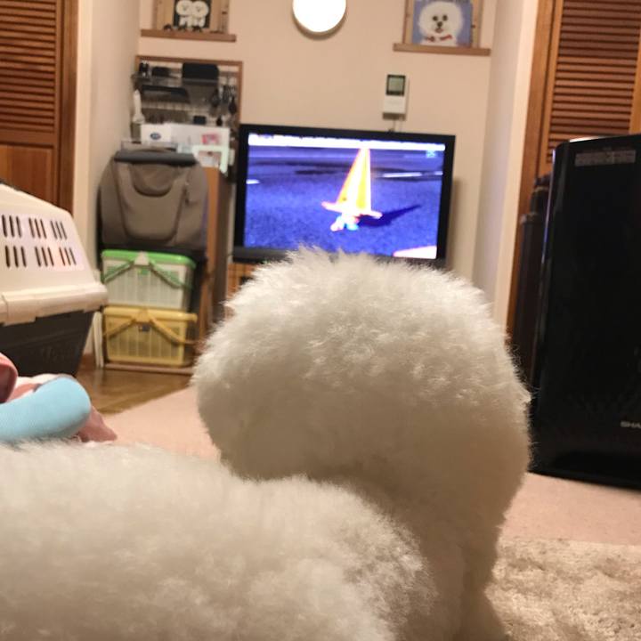 9d3cb139 62d4 47b8 8c93 08722a9c5a1b 1584103645094