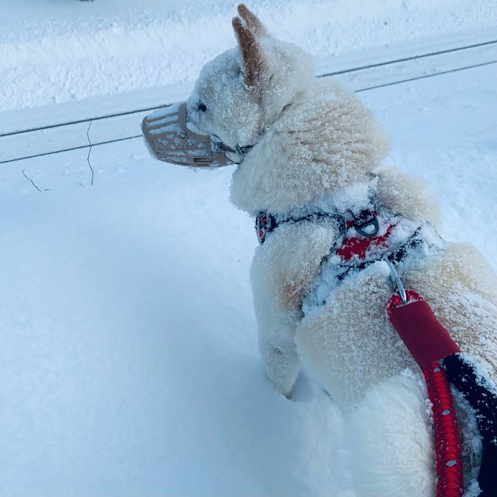 9d3cf858 e0a3 4120 bd22 8f01ce35cadc 1642406558347