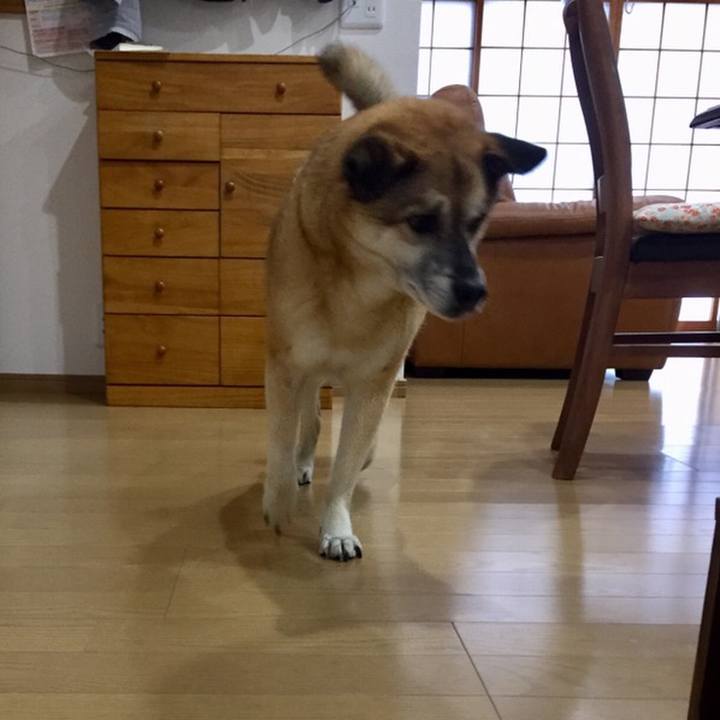 9d3d368c c326 4370 a5dc d0bf41499932 1558392721650