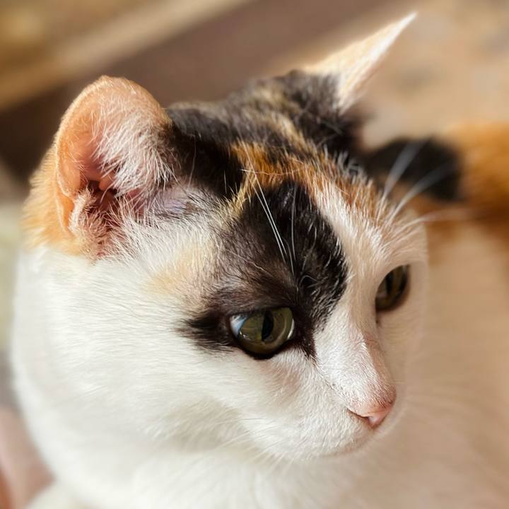 9d3d5373 c7f0 4c26 abff fe516dc4defb 1714179259974