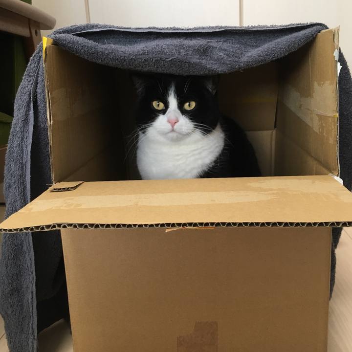 9d3d6f6a ca2b 4f73 a6b9 264fa048d68c 1610241401537