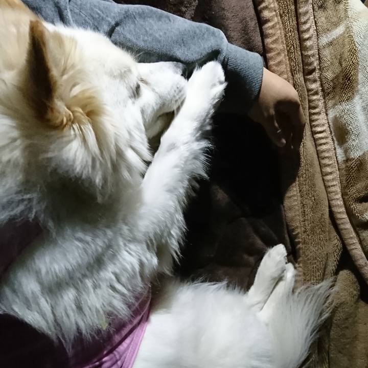 9d3d8d8e 1a1a 4eae b5df 4f42252d203f 1520110806649