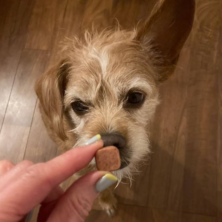 9d3d9bc5 2a85 492c bc74 c4a1725c5d2a 1701424114855