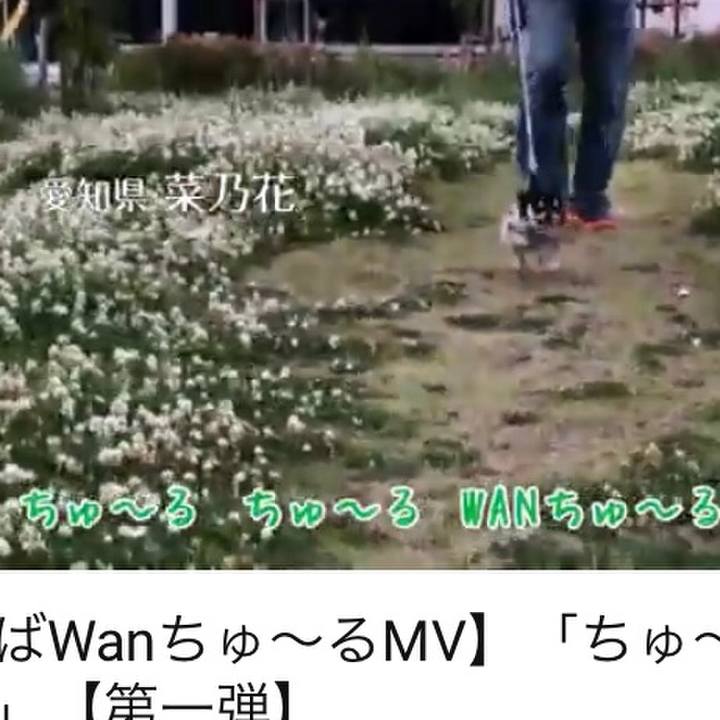 9d3dd8b3 6cd6 4441 b344 c418a4fa144d 1581557288217