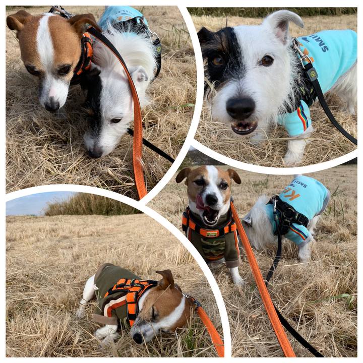 9d3e330c ab5e 45e0 a68e 9988d93c72ad 1575856006992