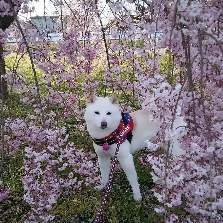 9d3e6972 a6e3 4909 839c bafc61666d01 1587287200755