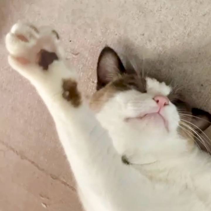 9d3ea0fd 0a55 4df0 b456 c7027127806e 1728185798059