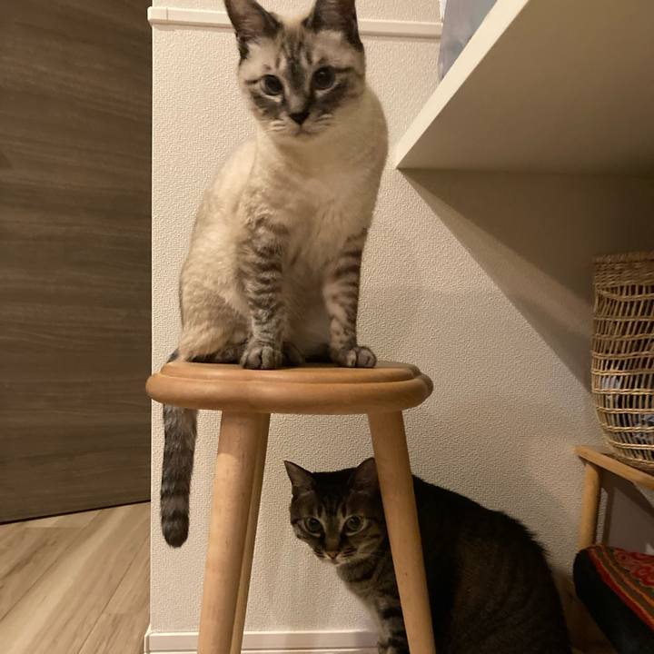 9d3eb347 6f65 400e a14a 95213bf45627 1626960773945