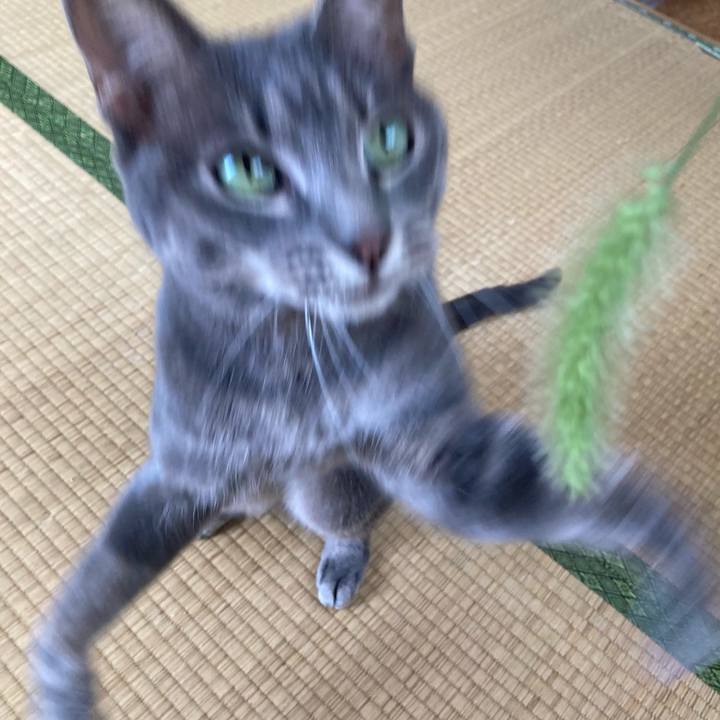 9d3f1ce1 ec1c 49d1 af90 62e02baa8c94 1661750468276