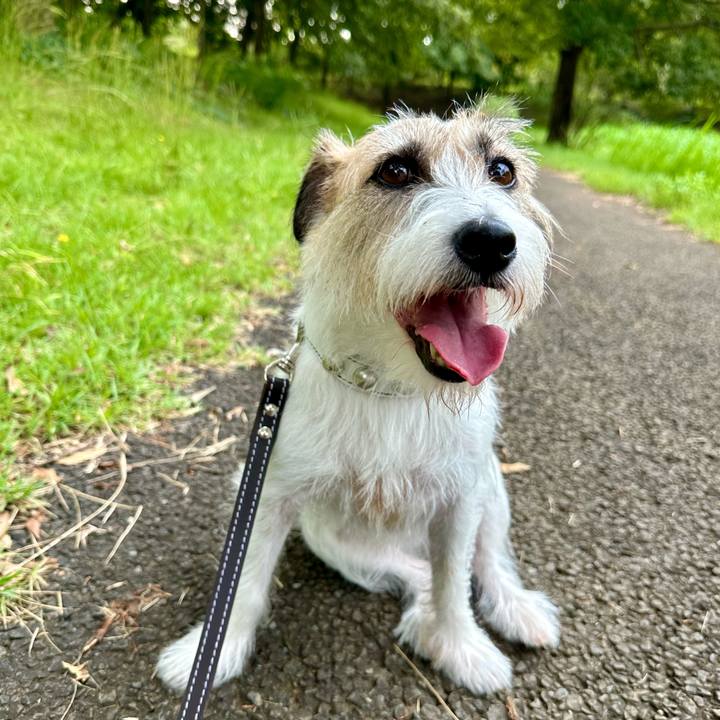 9d3f45d5 f7fe 4247 998b 8dbf4fb6b25d 1726928920763