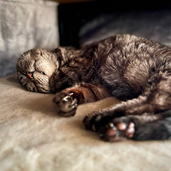 9d3f4958 9c88 43ca 9089 23d0daf1cd8d 1764852142184