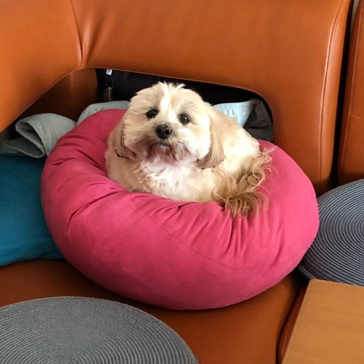 9d3fdeda 4764 4fb1 b749 34110a5f3b3e 1511144957499