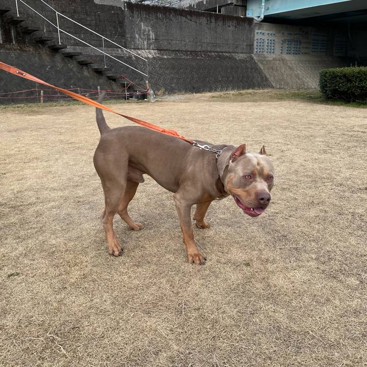 9d3ffb11 5bc1 485f af20 c119b93c2228 1674210907998