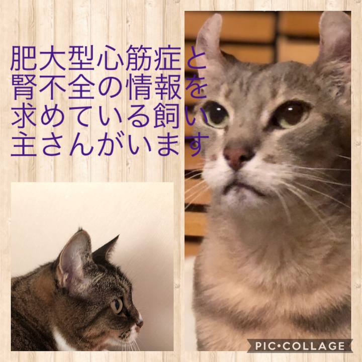 9d40058a 612b 4d86 b6b0 edb9d30e09ab 1602981095579