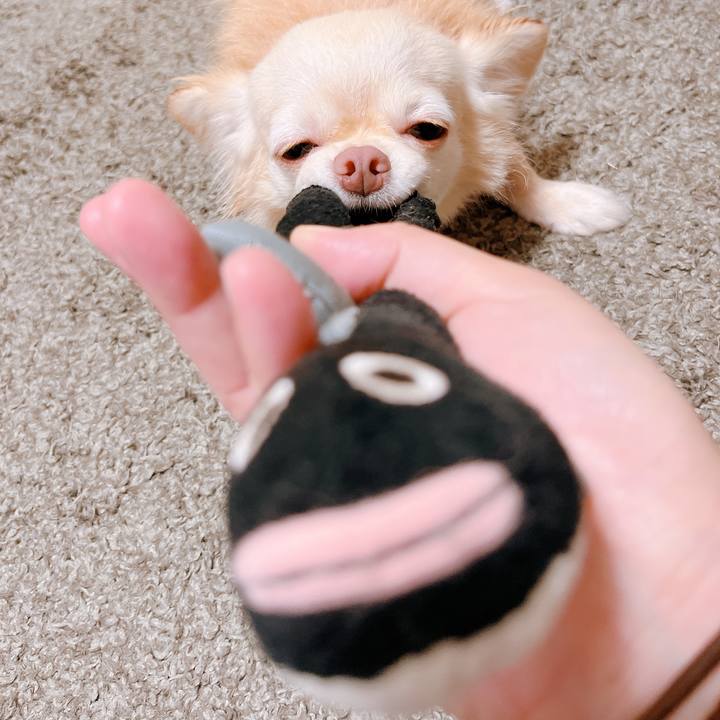 9d4010dd 7c9d 4f12 9f42 e72bc078ecc5 1660035740181