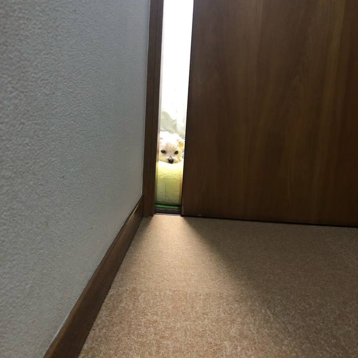 9d406896 bff9 4012 8533 ea12dfe5fca1 1547682052973