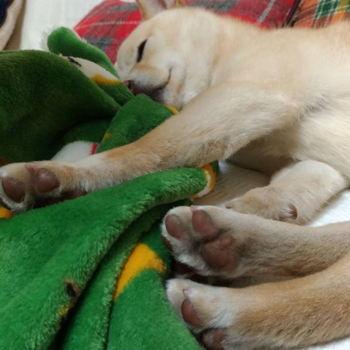 9d4077e7 a402 40f2 b94a 65cb540441cd 1518951555370