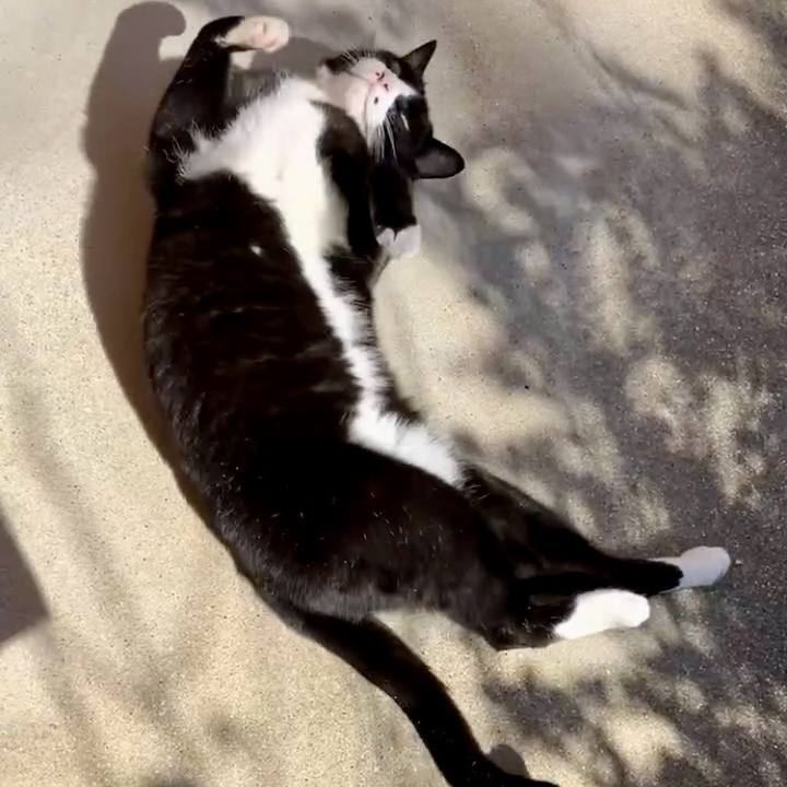 9d4087fe 7b90 4995 b6b9 34b8d2e3b006 1730867028570