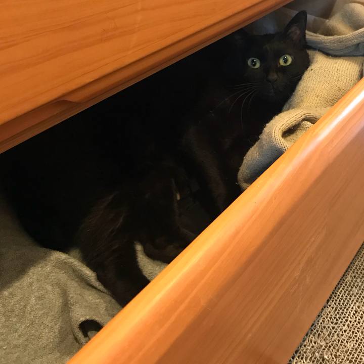 9d409b19 f503 4186 96fa d4657992d8a2 1537751943027