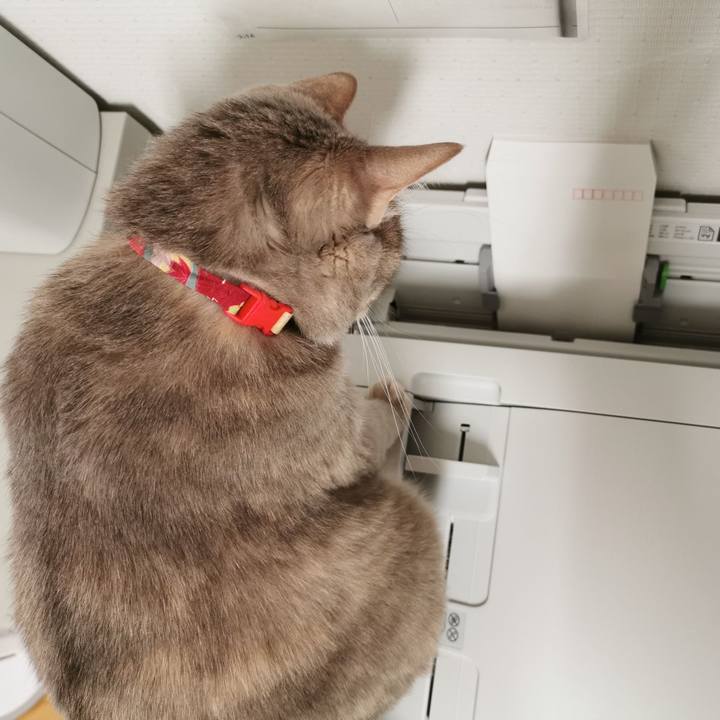 9d40f196 887a 4483 8738 ad2e73acd350 1617161068832