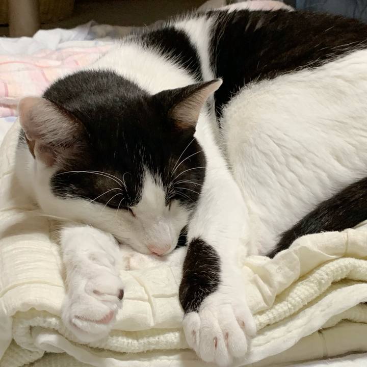 9d40fa5b de1d 439f b831 0af0a7c1d9d9 1538879769038