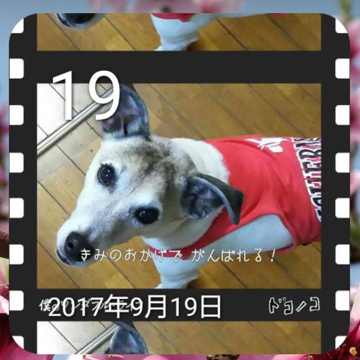 9d4112fb c75e 429a abf4 fa82238af300 1695121634750