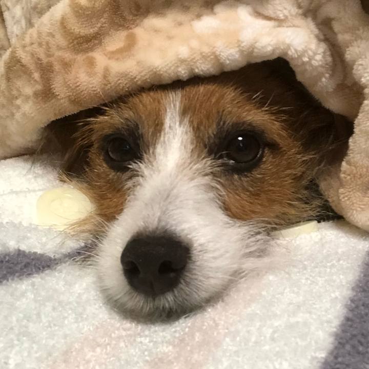 9d412b44 8c98 4028 a0d7 907ff7440bd0 1546066778940