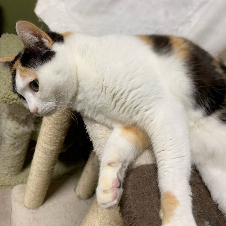 9d412da5 5ad2 448b 9923 b05bc80665b2 1579746093873