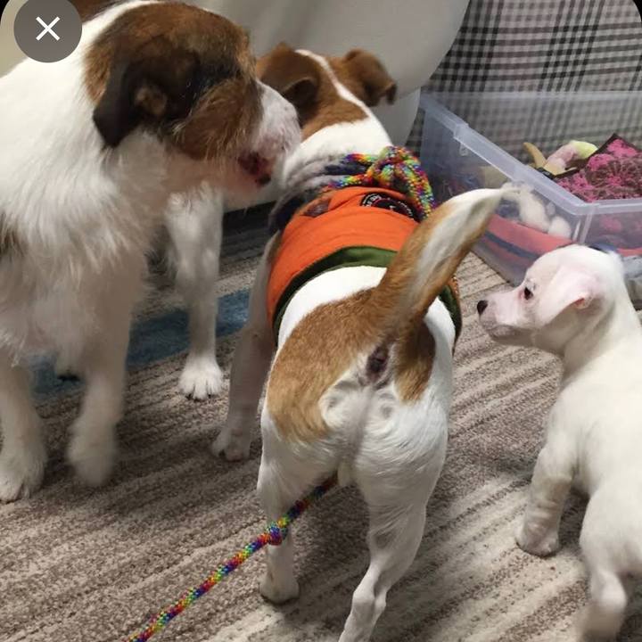 9d4145c6 cef6 4a9a 9b95 9a30780244c8 1673954650741