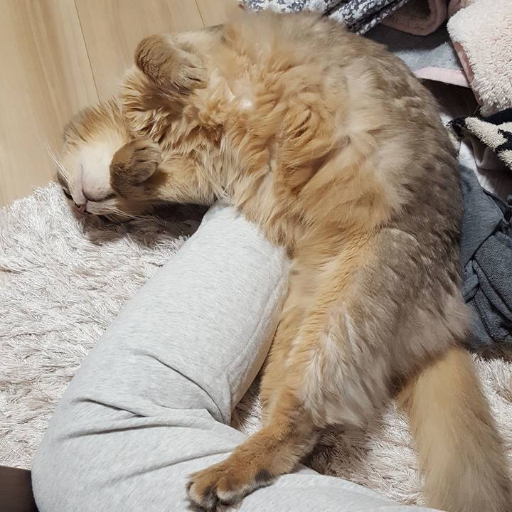 9d4148a8 9627 4a6b acb9 7a5eea62c75d 1584969633921