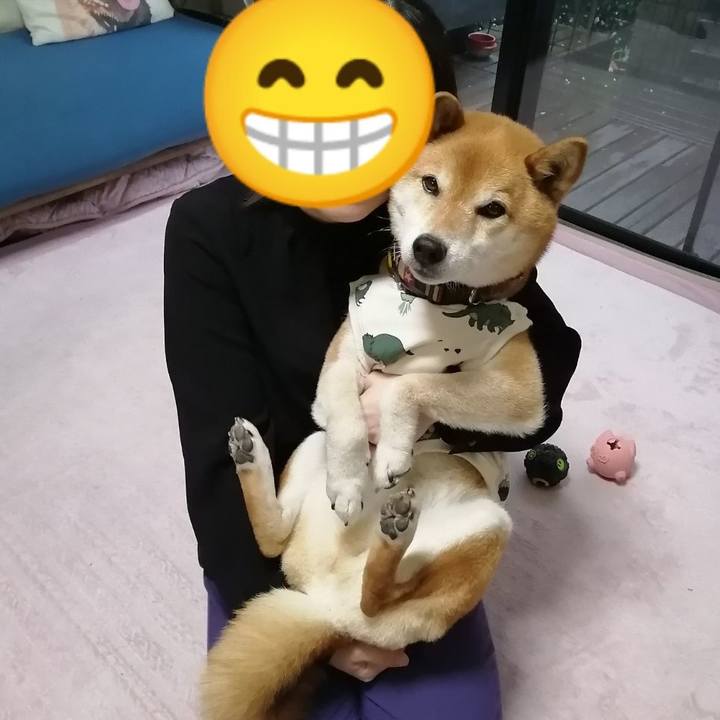 9d417b0d 98d2 422c add8 d4124aec0f23 1684076805193