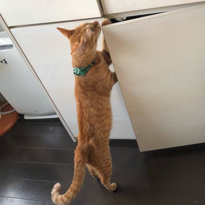 9d419ce3 f30f 40c5 ab8a a226101280b9 1630183649193