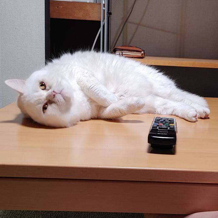 9d41b83d 72fb 43be 9513 27f982017ddb 1658665266097