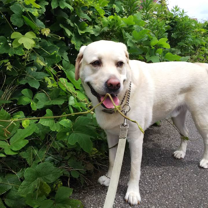 9d41c665 eaf2 488b b9bc 68cacd58860c 1563500289029