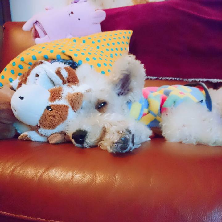 9d41e1b1 3320 4a91 99d5 d2b3a2ce2572 1518608674404