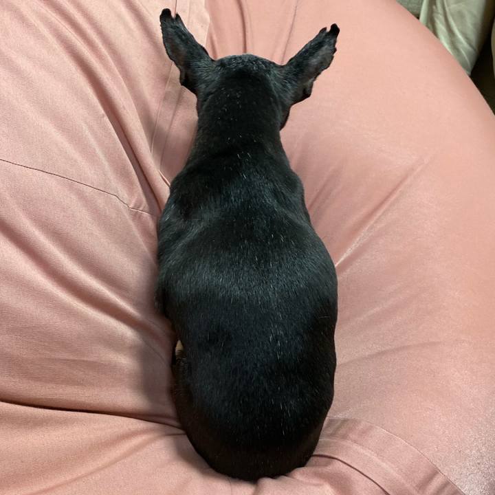 9d4208b3 2c49 4e79 a3ba 0945fbbf67e3 1577435337892