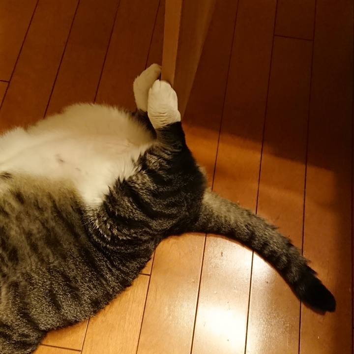 9d422e21 87d1 4850 94de 1daeda9befd7 1533767513220