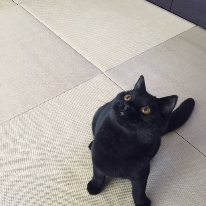 9d425f8f 9dad 4839 b923 debe0f107fe3 1712055647179