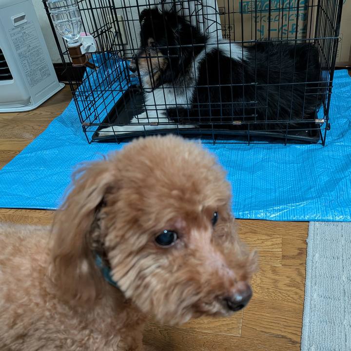 9d42818d a6b2 47c8 ab77 54353eef1be6 1767258903171