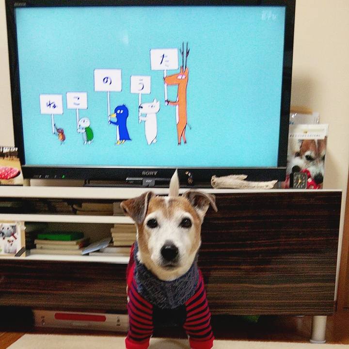 9d428ba0 d316 4a50 9f25 6eb3c67c83e5 1580943269517