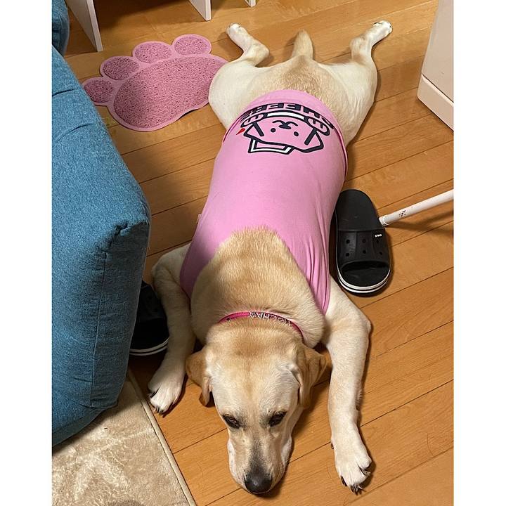 9d42978f b9b7 498e 91ad e00a324a591d 1635510286951